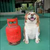 Mateo MacDonald - @mateo.macdonald - TikTok