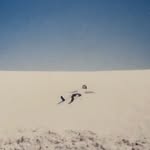 Mateo Messer - @ateomay - Instagram