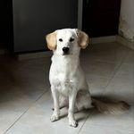 Mateo Ortega Castañeda - @mateoortegac - Instagram