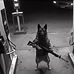 Mateo Parra - Facebook