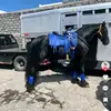 Luis Mateo Partida - @luis.mateo.partid - TikTok