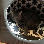Mateo Patterson - Facebook