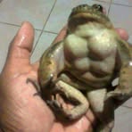 Mateo Perkins - Facebook