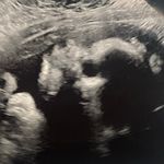 Mateo roman king Perkins - @mateosworld0717 - Instagram