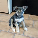 Mateo Ponce - @mateo.ponce.5243817 - Instagram