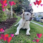 Mateo Roberts - Facebook