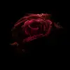 I'm you - @mateo.rosales287 - TikTok