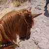Mateo Serrano - @mateo.serrano56 - TikTok