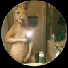 Mateo Solano - @user5818695379981 - TikTok