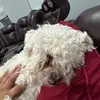 Mateo Solano - @mateo.solano505 - TikTok