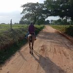 Mateo Solis - @mateo_solis175 - Instagram