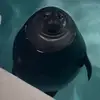 Mateo Solis - @mateo.solis599 - TikTok