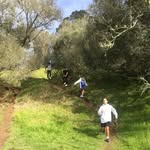 Mateo Sutton - @reef_the_beast12 - Instagram