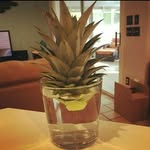 Mateo thomas R - @mateo_thomas7 - Instagram