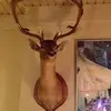 mateoThomas 01 - @mateothomas136 - TikTok