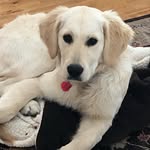 Mateo Weiss - @mt0_weiss - Instagram
