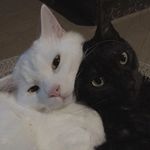 @mateoyange_ - Instagram