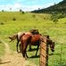 Mateus silva - Facebook