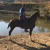Mateus Silva - @mateus.silva788 - TikTok