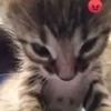 mateusz - @mateuszklich2 - TikTok