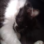 Mateusz Paczkowski - @mateusz.paczkowski.1806 - Instagram