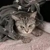 Mateusz Paczkowski - @matipaka - TikTok