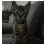 fredrick adrian mathew - @mathew_adrian254 - Instagram