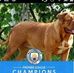 Mathew Albert - Facebook
