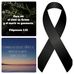 Matthew Albert - Facebook