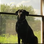 Mathew Allen - @mathewallen8480 - Instagram