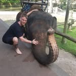 Mathew Andrews - @mathewandrews30 - Instagram