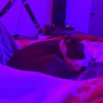 Matthew Arias - @mathew.arias_ - Instagram