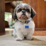 Mathew Austin - @mathewaustin623 - Instagram