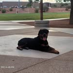 Mathew Barber - @spartan_mathew - Instagram