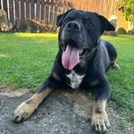 @mathew_barr - Instagram