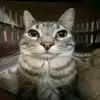 Mathew Barrera - @mathew.barrera1 - TikTok