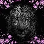 Mathew Beasley - @mathewevan123456789 - Instagram