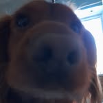 Mathew Berry - @mathew_berry1432 - Instagram