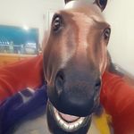 Mathew Boothey - @bootheymathew - Instagram
