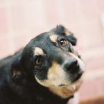 Matthew Booth - @mattboothy - Instagram