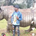 Brayan Mathew - @mathewbrayan51 - Instagram