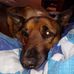 Mathew Bush - Facebook