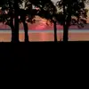 Matthew Bush843 - @matthewbush07 - TikTok
