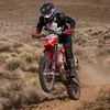 Mathew Carman39 - @spaghettianmotos - TikTok