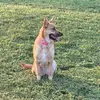 matthew.B.Christensen - @matthew.b.christensen - TikTok