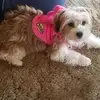 Mathew Clark - @mathew.clark35 - TikTok