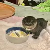 mathew conway - @mathew.conway6 - TikTok