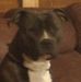 Matthew Conway - Facebook