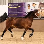 Mathew Dixon - @walena_stud - Instagram