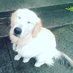 Mathew Dolan - @zzzzzzzzzzzzzzzlzzzzzzzzzzzzzz - Instagram